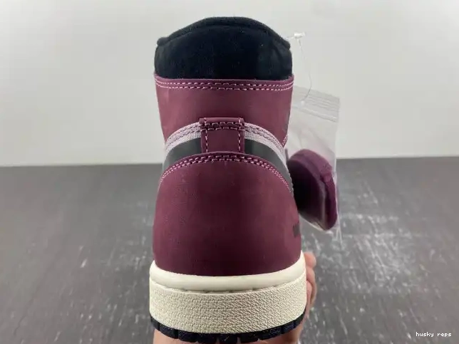 Rep Husky Element 1 Gore-Tex Jordan DB2889-500 Air 0517